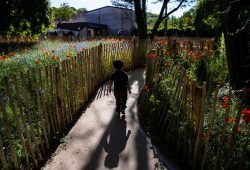 Ermittlungen in Pariser Vorschulen wegen Gewaltvorwürfen