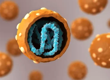 Reaktion auf einen Hantavirus-Ausbruch in Argentinien 2018