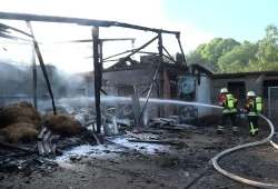 Geflügelhof im Saarland: Großbrand fordert viele Opfer unter Hühnern
