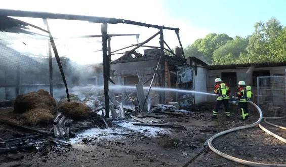 Geflügelhof im Saarland: Großbrand fordert viele Opfer unter Hühnern