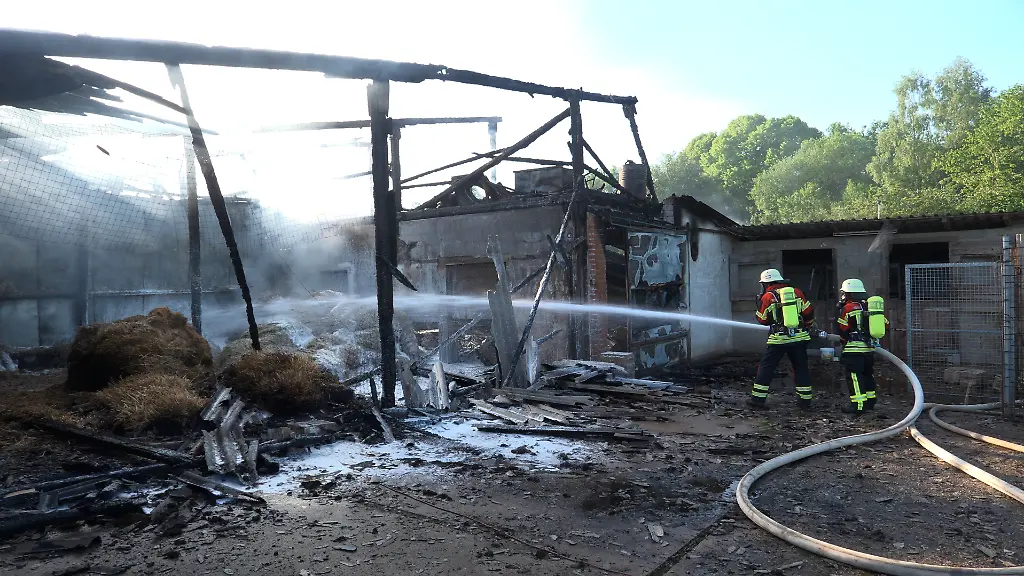 Geflügelhof im Saarland: Großbrand fordert viele Opfer unter Hühnern
