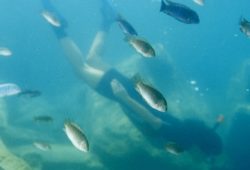 Schnorcheln im Malawi-See: Ein Erlebnis wie im Aquarium