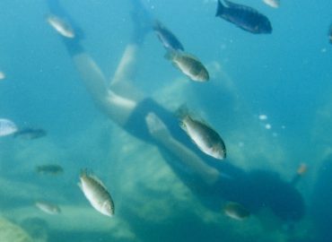 Schnorcheln im Malawi-See: Ein Erlebnis wie im Aquarium