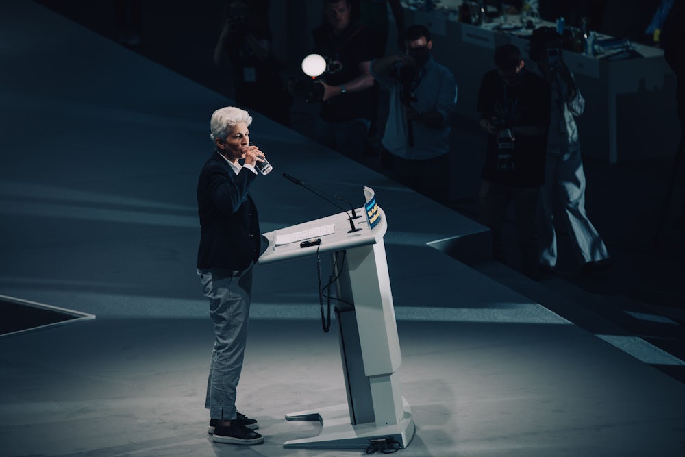 Wolfgang Kubicki und der Kampf um den FDP-Vorsitz