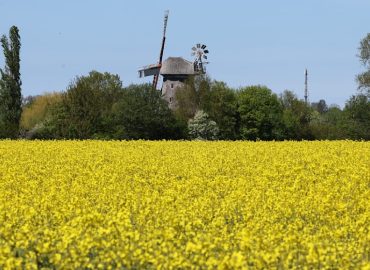 Sonniges Muttertagswochenende trifft auf Kälteeinbruch durch Eisheilige