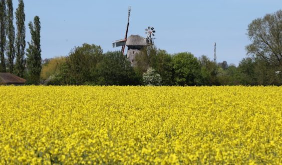 Sonniges Muttertagswochenende trifft auf Kälteeinbruch durch Eisheilige