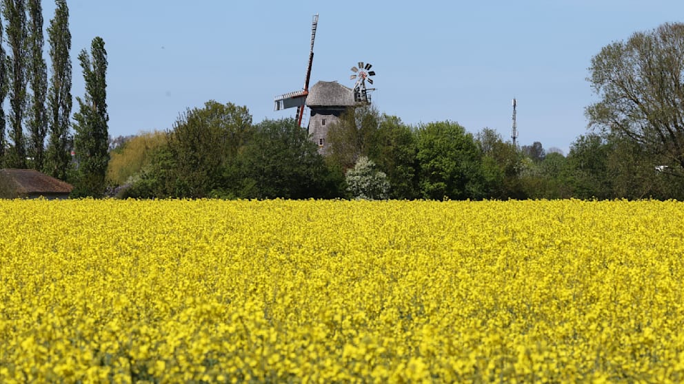 Sonniges Muttertagswochenende trifft auf Kälteeinbruch durch Eisheilige