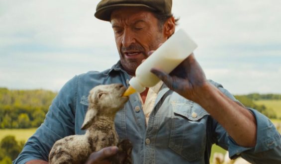 Glennkill: Ein Schafkrimi mit Emma Thompson und Hugh Jackman