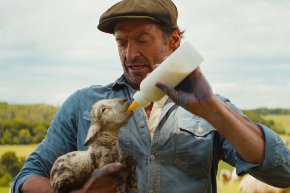 Glennkill: Ein Schafkrimi mit Emma Thompson und Hugh Jackman