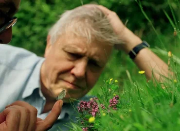 Eine beispiellose Karriere: Sir David Attenborough wird 100 Jahre alt