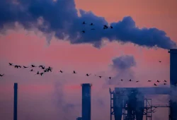 Deutsche Industrie steigert Umsatz trotz Stellenabbau