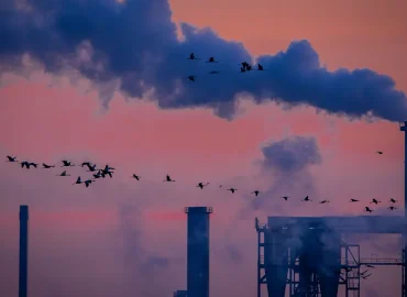 Deutsche Industrie steigert Umsatz trotz Stellenabbau