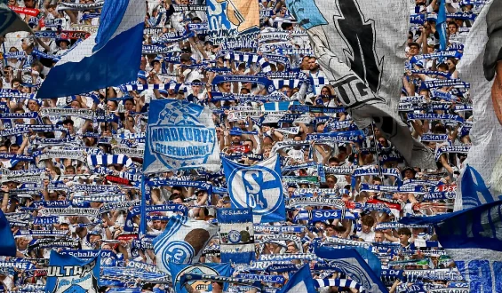 Vorwürfe gegen Schalke-Jugendtrainer wegen Missbrauchs eines Kindes