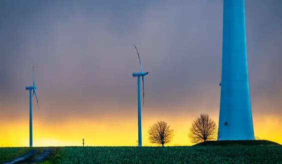 Deutschland plant massiven Ausbau der Windenergie
