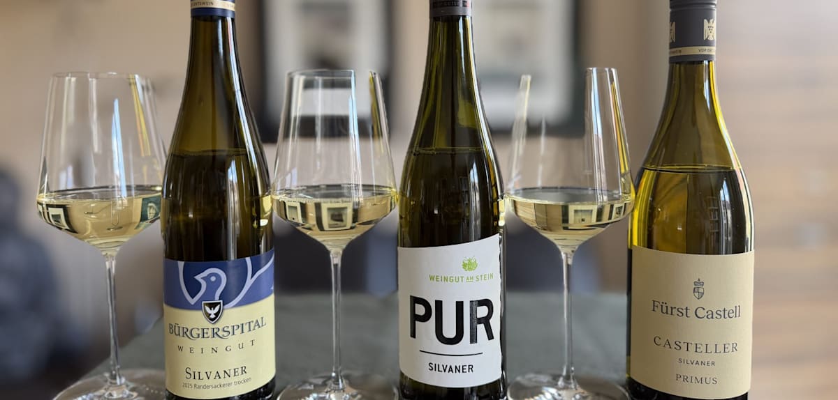 Silvaner im Test – Ein Überblick über die besten Weißweine