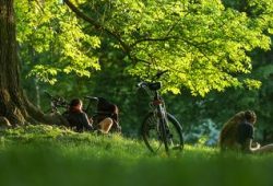 Reform der Pflegeversicherung: Beitragserhöhung für Kinderlose geplant