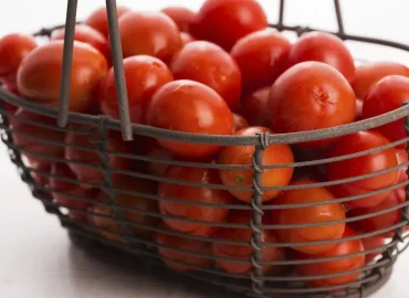 Öko-Test bewertet Cocktailtomaten