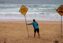 Tödlicher Hai-Angriff auf Speerfischer in Australien