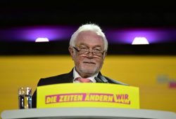 Wolfgang Kubicki und die politische Szene