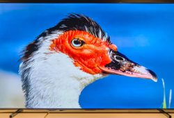 Hisense E7Q Pro: Ein 100-Zoll-Fernseher im Test