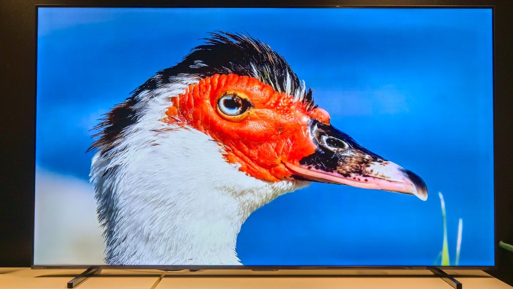 Hisense E7Q Pro: Ein 100-Zoll-Fernseher im Test