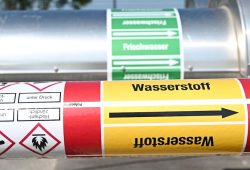Finnischer Wasserstoff: Rettung für die deutsche Energiewende?