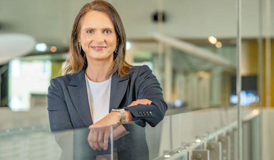Gründe für steigende Börsen trotz Krisen