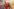 Ebola-Patient in Berlin: Behandlungsablauf in der Charité