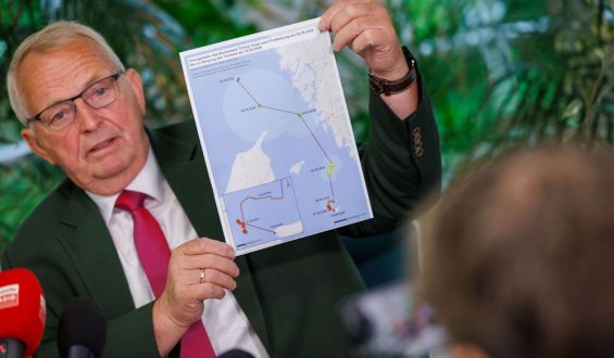 Das Schicksal von Wal ‘Timmy’: Eine Analyse