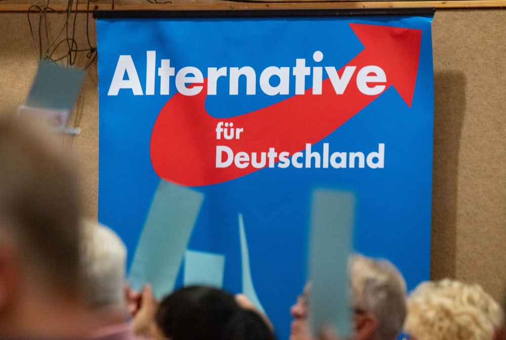 Machtkampf bei der bayerischen AfD: Protschka gegen Mixl