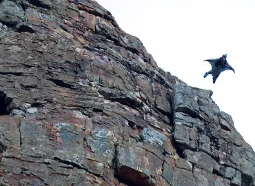 Wingsuit-Unfall in der Schweiz: Deutscher stirbt bei Absturz