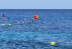 Krokodilangriff auf Schwimmwettbewerb in Mexiko