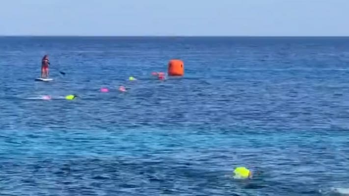 Krokodilangriff auf Schwimmwettbewerb in Mexiko