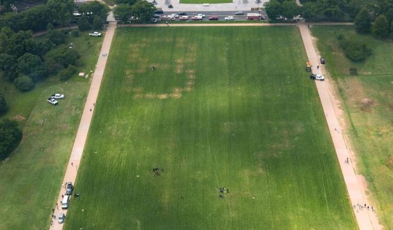 Anti-Trump-Botschaft auf der National Mall sorgt für Aufsehen