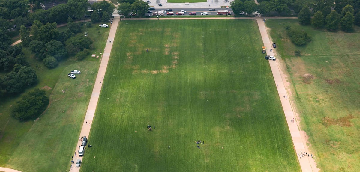 Anti-Trump-Botschaft auf der National Mall sorgt für Aufsehen