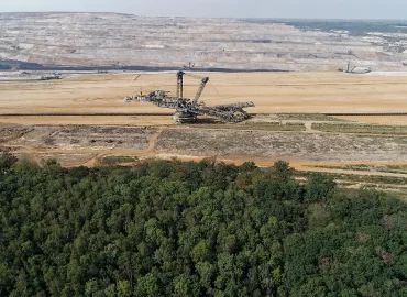 Dauerhafter Schutz des Hambacher Waldes