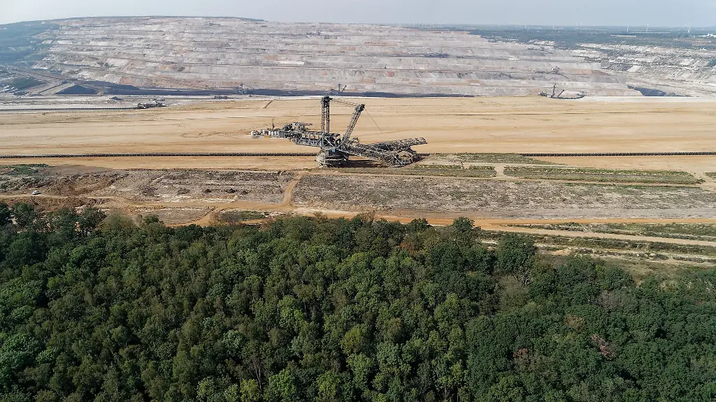 Dauerhafter Schutz des Hambacher Waldes