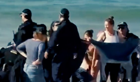 Drama in Sydney: Hai-Angriff auf Schwimmerin führt zu Strandschließungen