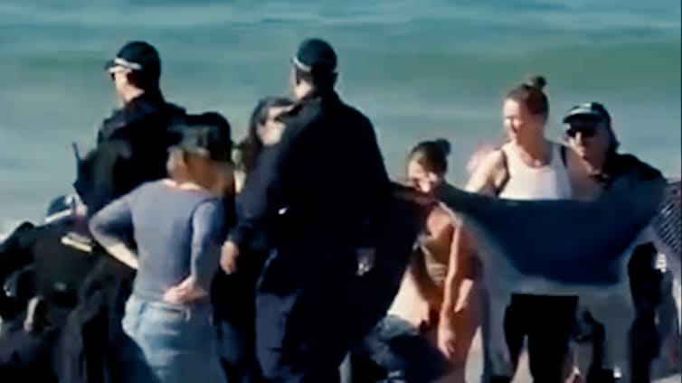 Drama in Sydney: Hai-Angriff auf Schwimmerin führt zu Strandschließungen