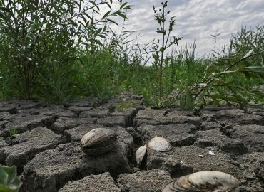 Der Kachowka-Staudamm: Folgen und Forschung nach drei Jahren