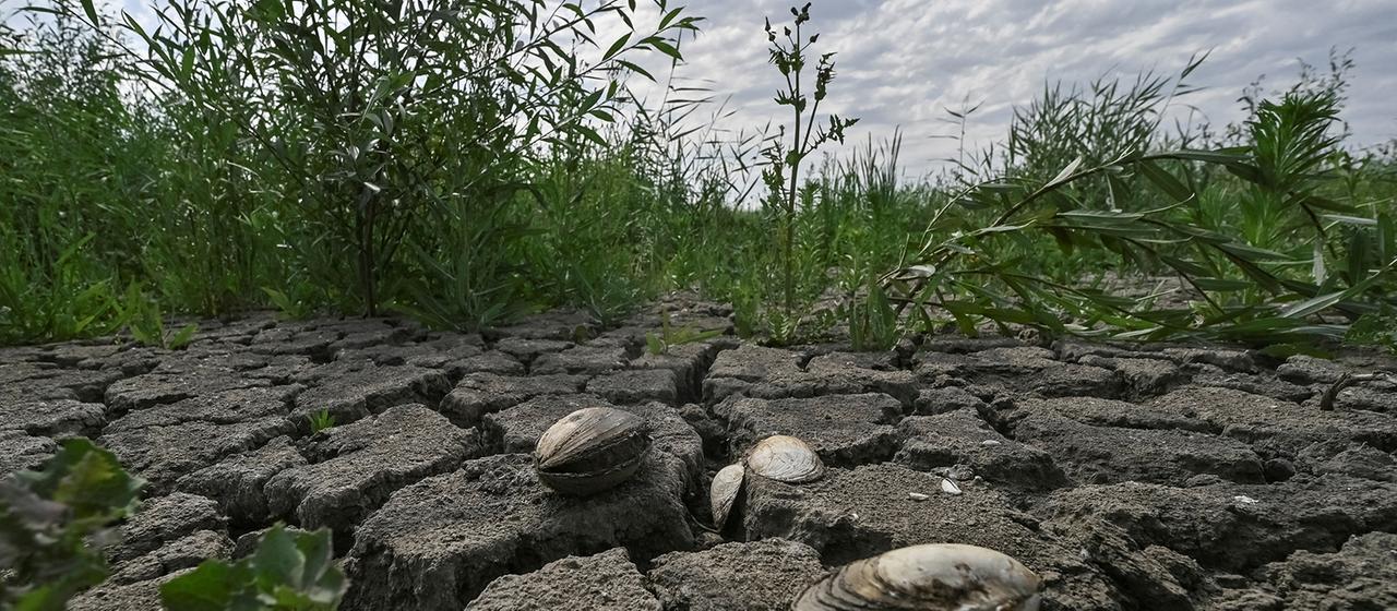 Der Kachowka-Staudamm: Folgen und Forschung nach drei Jahren
