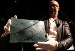 Handtasche aus rekonstruiertem Sauriermaterial bleibt unversteigert