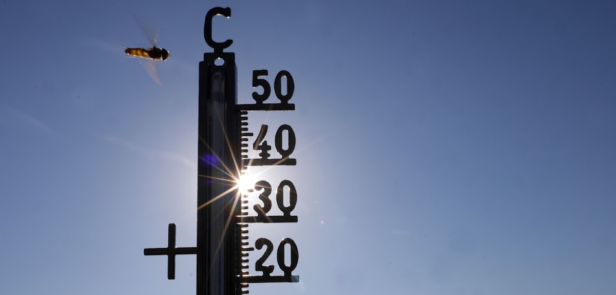 Deutschland erwartet Hitzerekord: Alarmstufe wegen extremer Temperaturen