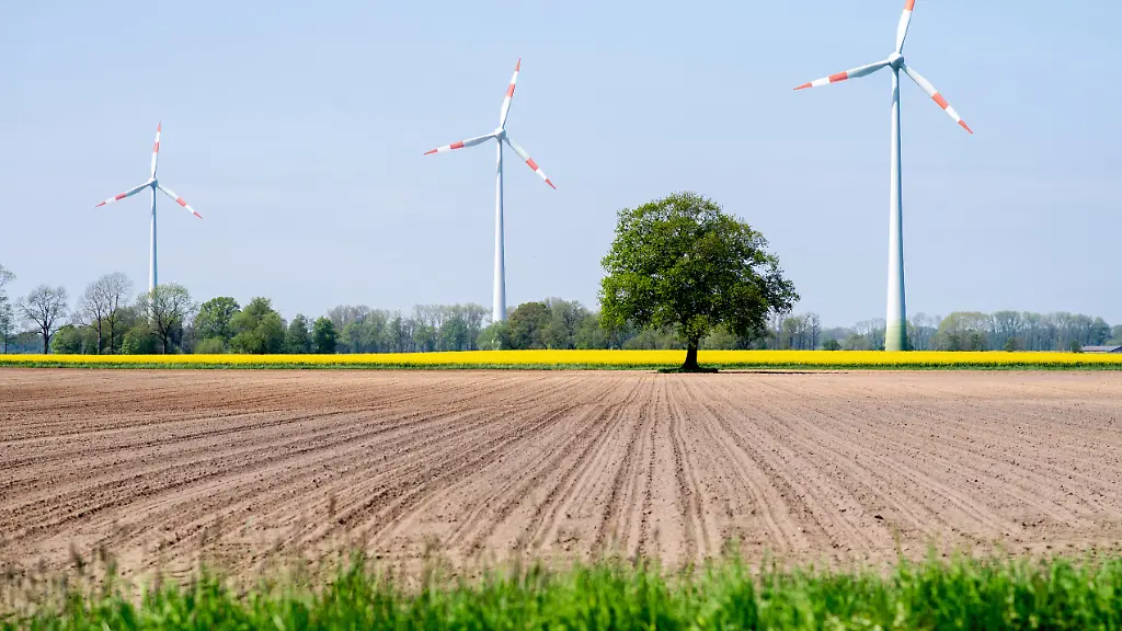 Energieautarkes Bakum und Bürokratische Hürden