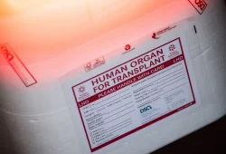 Organspende: Bedürfnis und Realität in Deutschland