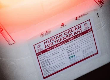 Organspende: Bedürfnis und Realität in Deutschland