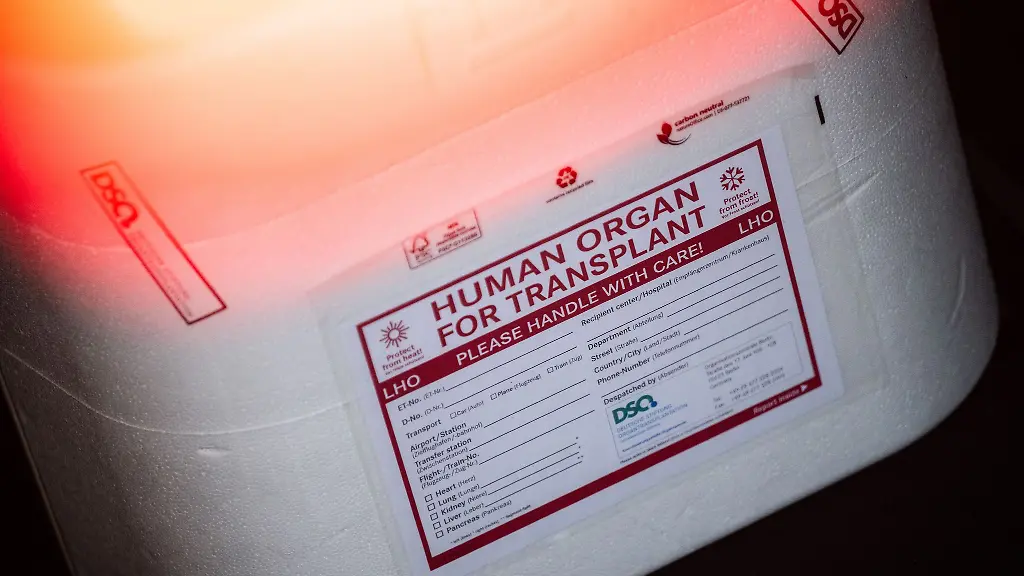 Organspende: Bedürfnis und Realität in Deutschland
