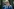 Wolfram Weimer und das literarische Wort des Jahres