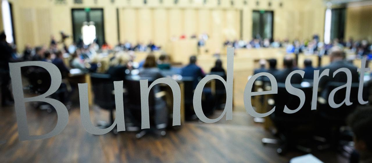 Analyse potenzieller AfD-Regierungen: Kann der Bund Länder zur Zusammenarbeit zwingen?