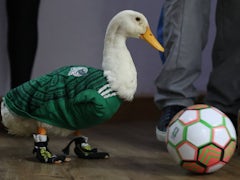 Kanadas stolzer Auftritt bei der Fußball-WM